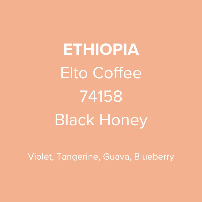 Ethiopia Elto Coffee Sidama Bare Station 74158 Black Honey