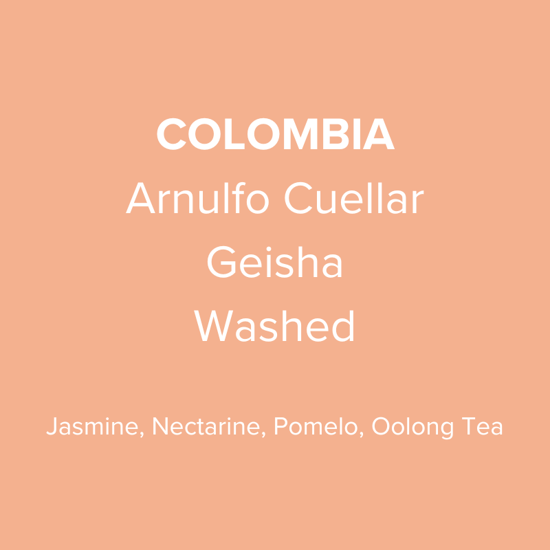 Colombia Arnulfo Cuellar Geisha Washed