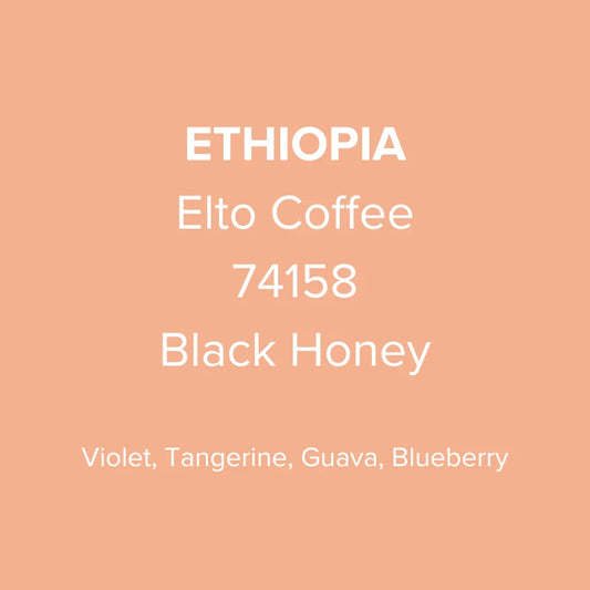 Ethiopia Elto Coffee Sidama Bare Station 74158 Black Honey