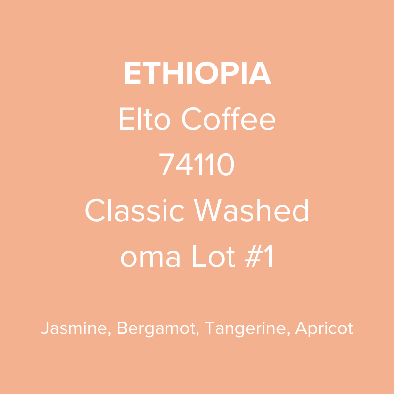 Ethiopia Elto Coffee Sidama Bona 74110 Classic Washed oma Lot 1