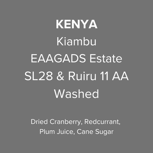 Kenya Kiambu EAAGADS Estate SL28 & Ruiru 11 Washed AA TOP
